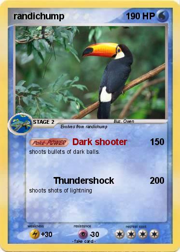 Pokemon randichump
