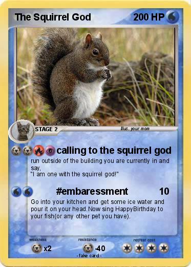 Pokemon The Squirrel God