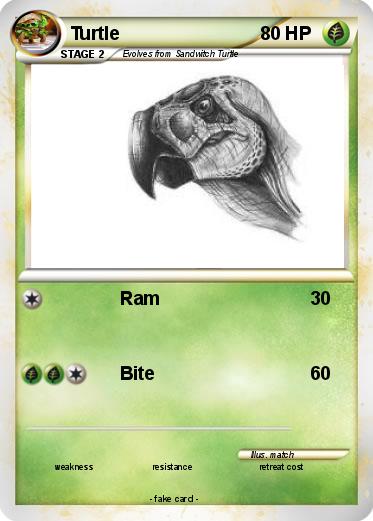 Pokemon Turtle