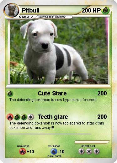 Pokemon Pitbull