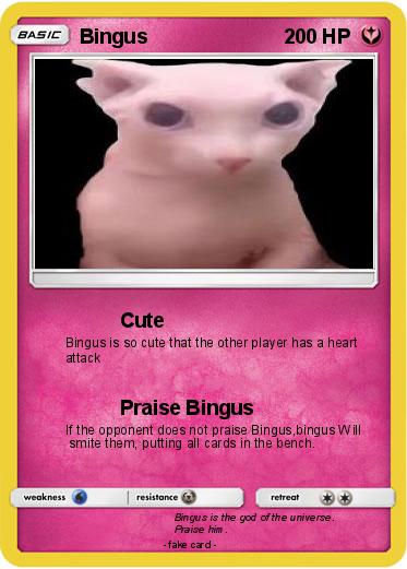 Pokemon Bingus