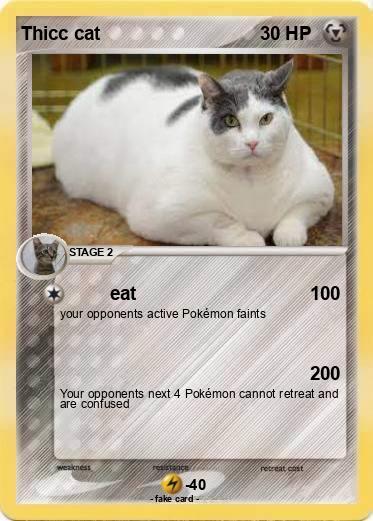 Pokemon Thicc cat
