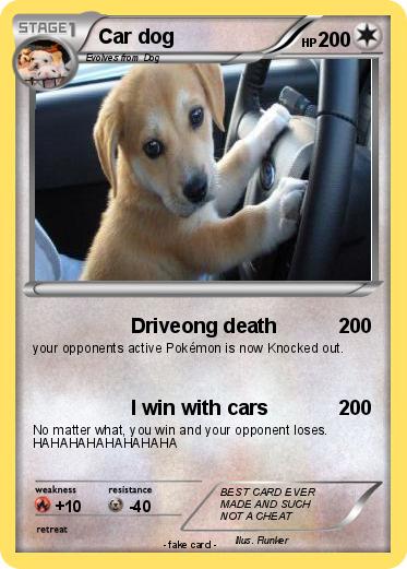 Pokemon Car dog
