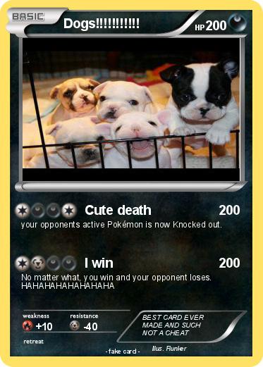 Pokemon Dogs!!!!!!!!!!!
