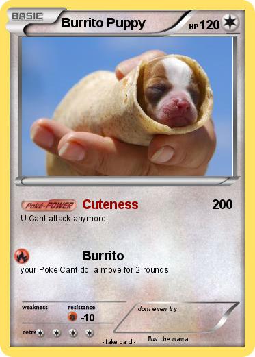 Pokemon Burrito Puppy