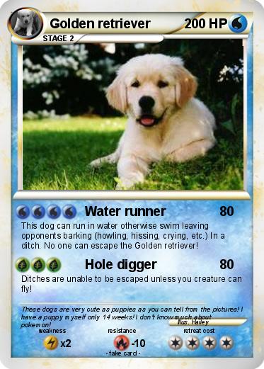 Pokemon Golden retriever