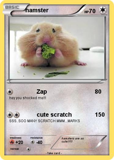 Pokemon hamster