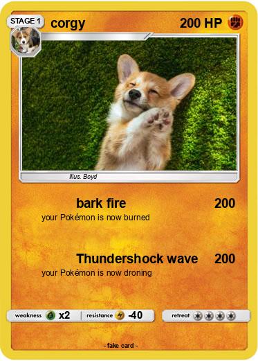 Pokemon corgy