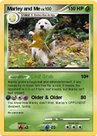 Pokemon Marley and Me