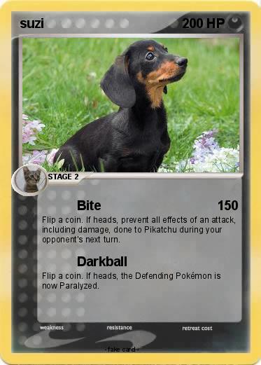 Pokemon suzi