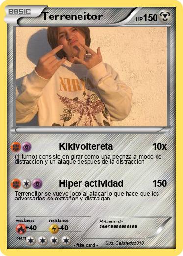 Pokemon Terreneitor