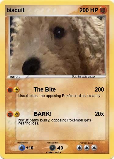 Pokemon biscuit