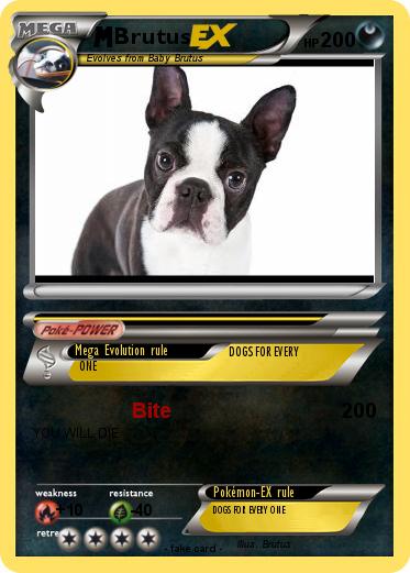 Pokemon Brutus