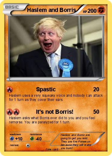 Pokemon Haslem and Borris