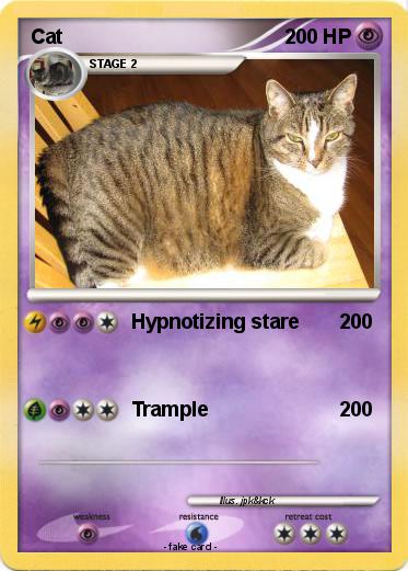 Pokemon Cat