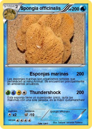 Pokemon Spongia officinalis