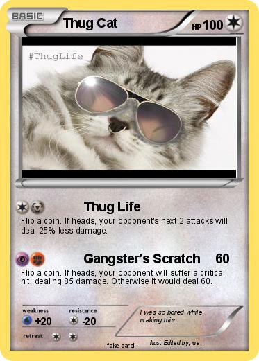 Pokemon Thug Cat