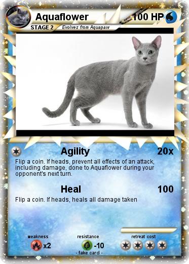 Pokemon Aquaflower