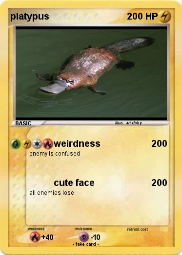 Pokemon platypus