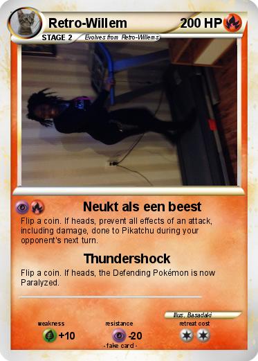 Pokemon Retro-Willem
