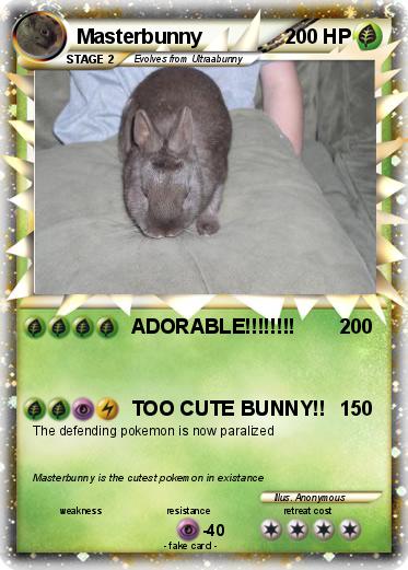 Pokemon Masterbunny