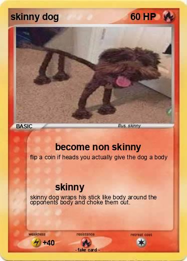 Pokemon skinny dog