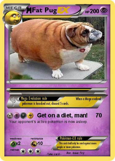 Pokemon Fat Pug