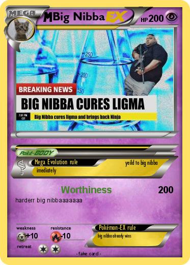 Pokemon Big Nibba