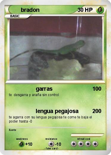 Pokemon bradon