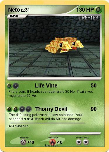 Pokemon Neto