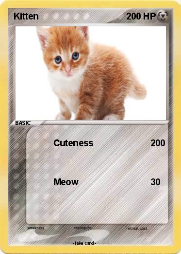 Pokemon Kitten