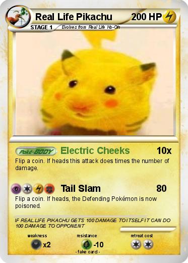 Pokemon Real Life Pikachu
