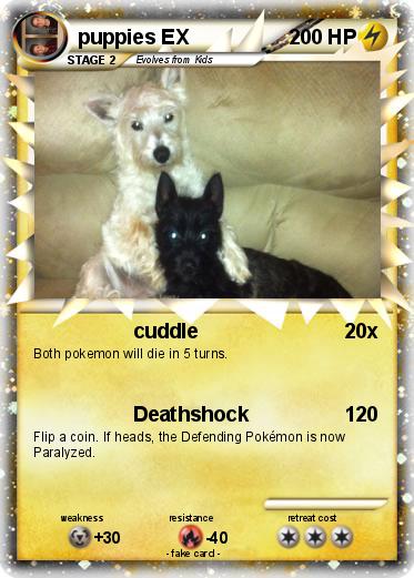 Pokemon puppies EX
