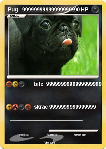 Pokemon Pug   999999999999999999