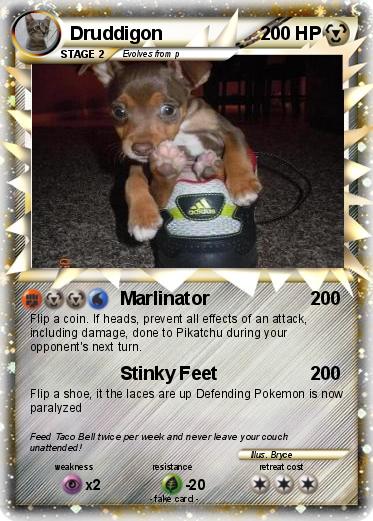 Pokemon Druddigon