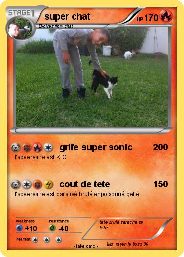 Pokemon super chat