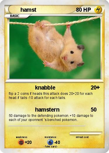 Pokemon hamst