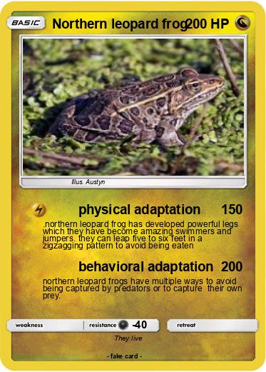 Pokemon Northern leopard frog