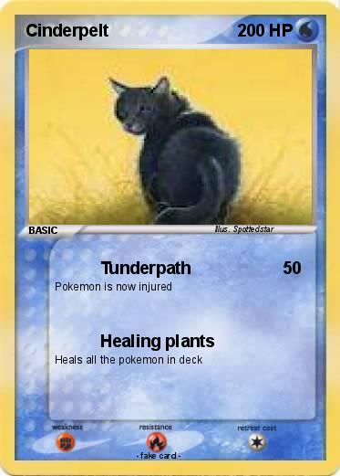 Pokemon Cinderpelt