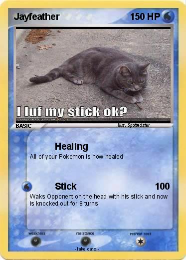 Pokemon Jayfeather