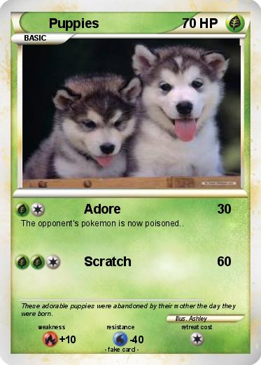 Pokemon Puppies