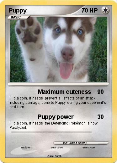 Pokemon Puppy