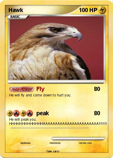 Pokemon Hawk