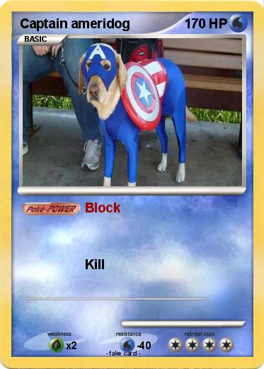 Pokemon Captain ameridog