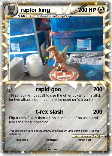 Pokemon raptor king
