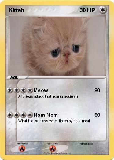 Pokemon Kitteh