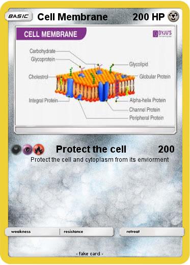 Pokemon Cell Membrane