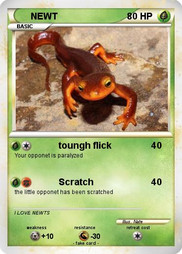 Pokemon NEWT