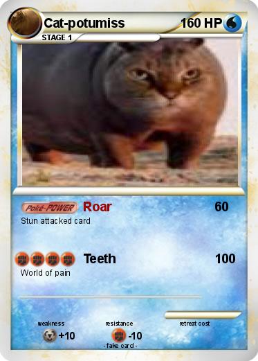 Pokemon Cat-potumiss