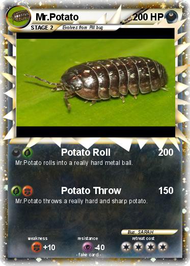 Pokemon Mr.Potato